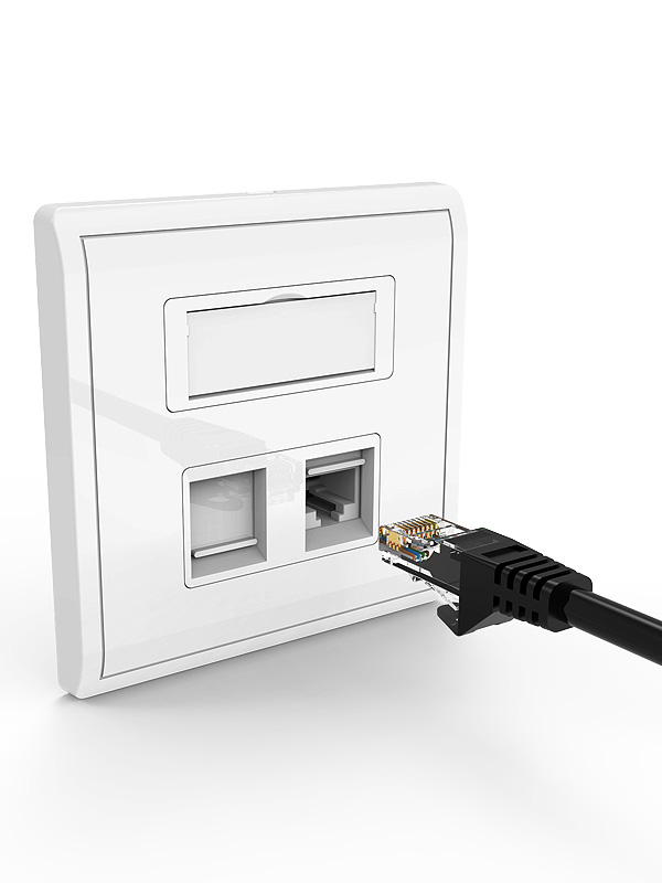 Network RJ45 Faceplate